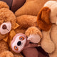 Why Teddy Bears Are The Most Beloved Plush Toy
