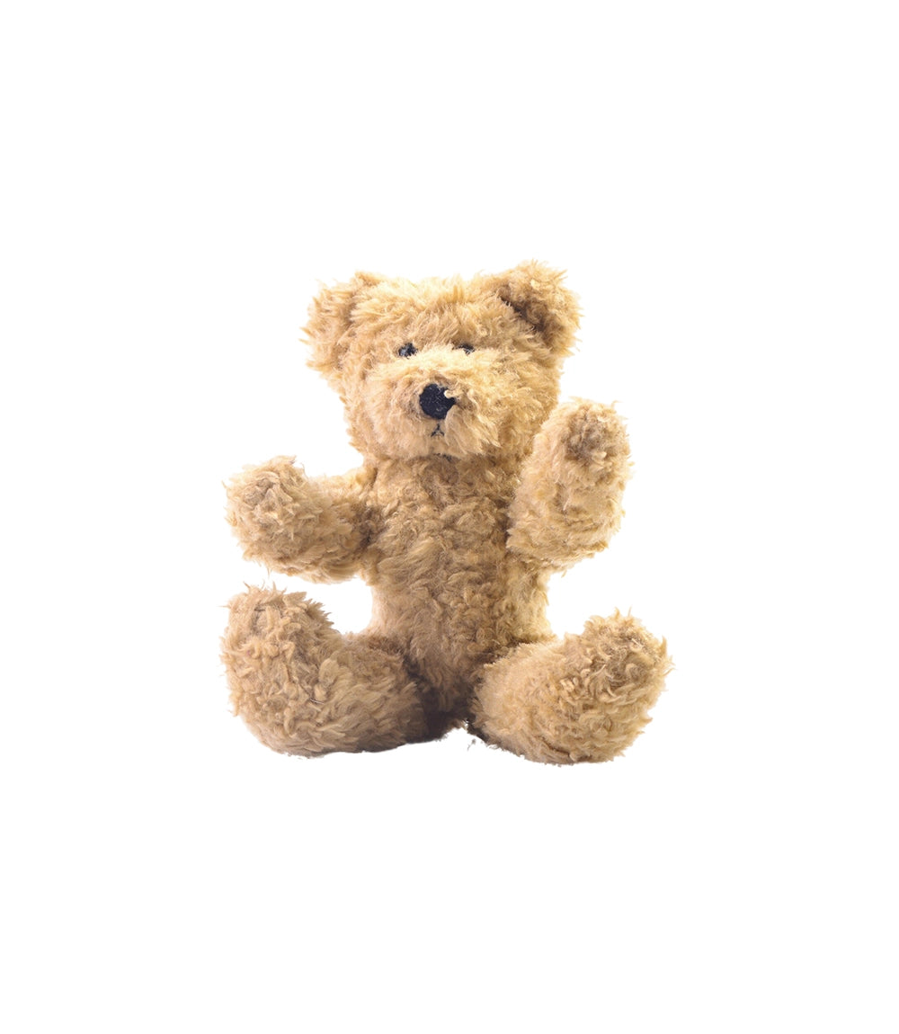 Comfort Teddy Plush Toy